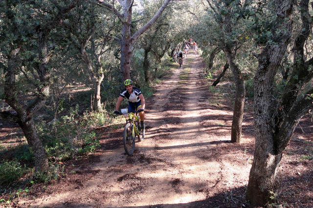 16VMBTT - FERRERIES Manolo Roselló