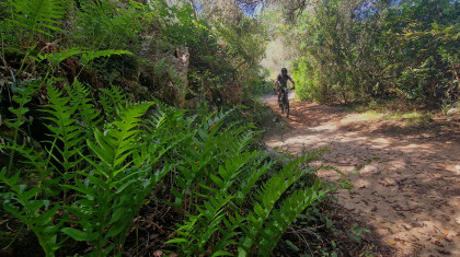 Menorca BTT